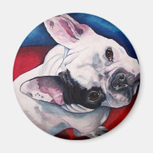 French Bulldog White with Patch Magnet