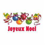 French Christmas Birds photo sculptures