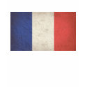 French Flag Distressed t-shirts