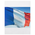 French Flag flyers