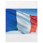 French Flag flyers