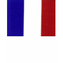 French flag t-shirt