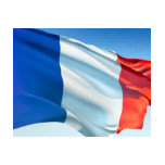 French Flag t-shirts