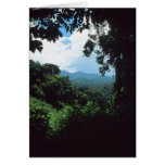 FRENCH GUIANA: Rain forest view cards