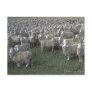 French people postcards