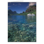 French Polynesia, Moorea. Cooks Bay. Cruise ship