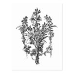 French Rose Bouquet Post Card