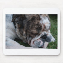 FrenchBullDog Mouse Pad