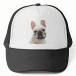 Frenchie Smiling hat