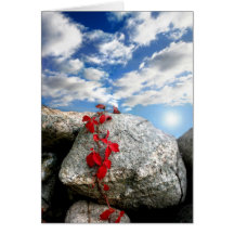 Fresh Air Greeting Cards