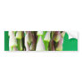 Fresh Asparagus On Green Background Bumper Stickers