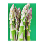 Fresh Asparagus On Green Background Post Card