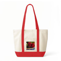 Fresh Berries Bag