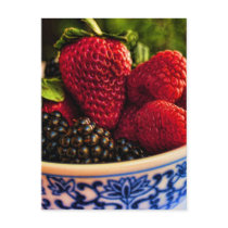 Fresh Berries Postcards