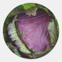 Fresh Cabbage Stickers