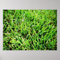 Fresh Grass Posters