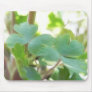 Fresh Green Columbine Foliage Mouse Pad