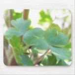 Fresh Green Columbine Foliage mousepads