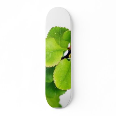 Fresh Green Leaves On White Background Skate Board Decks by lifesphere