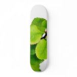 Fresh Green Leaves On White Background skateboards