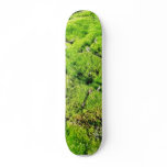 Fresh Green Moss With Some Stones Around. skateboards