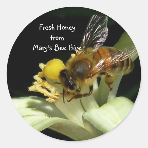 Honey Bee Hive Sticker