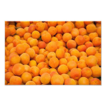 Fresh Organic Apricots Photo Print