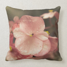 Fresh Pillow