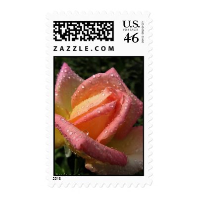 Fresh Rain Drops Postage Stamp by beverlytazangel