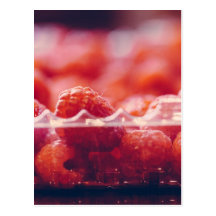 Fresh Raspberries Photography Art Postcard