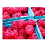 Fresh Raspberries Postcards