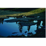 Fresh Spring Photo Cut Out