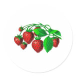 Fresh Strawberries stickers