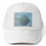 Fresh Water Stingray Baseball Hat