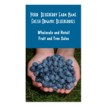 Freshly Washed Blueberries Business Card Template