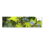 freshness bumper stickers