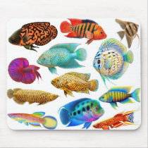 Freshwater Aquarium Fish Mousepad