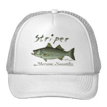 Freshwater Collection by FishTs.com Mesh Hats