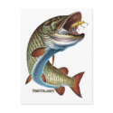 FreshWater Collection by FishTs.com postcards
