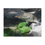 Freshwater Crocodile Postcards