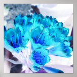 Freshwater Flowers posters