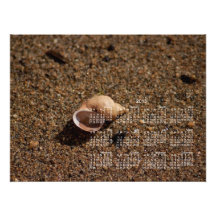 Freshwater Snail Shell; 2013 Calendar Photo Art