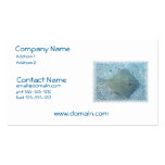 Freshwater Stingray Business Card