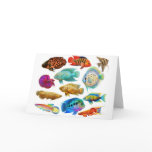 Freshwater Tropical Fishes Card