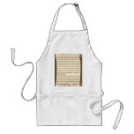 Friday the 13th aprons