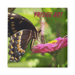 Fridge Art Refrigerator Magnet
