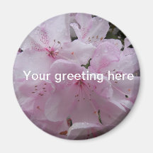 FRIDGE MAGNET - Soft and pretty pink Rhododendrons