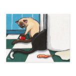 Fridge Raiders Cat Postcard