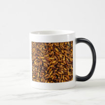 Fried Bamboo Worms ... Thai Street Food Coffee Mugs