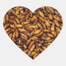 Fried Bamboo Worms ... Thai Street Food Sticker